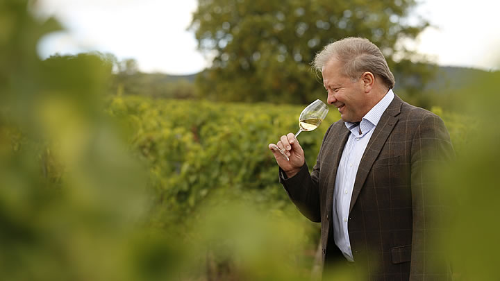 Wolfgang Junglas im Weinberg